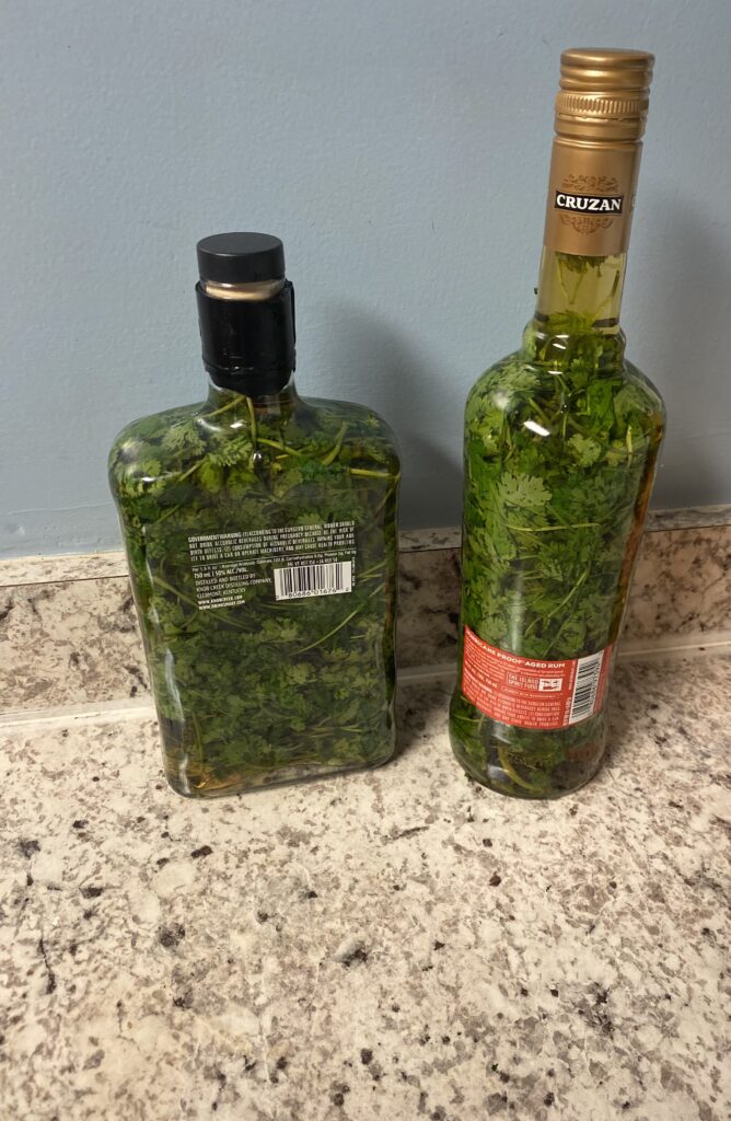 cilantro tincture